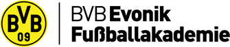BVB Evonik Fußballakademie